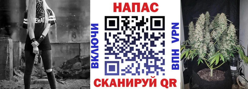 Канабис сатива  продажа наркотиков  Велиж 